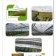 VIVEIROS E ESTUFAS AGRÍCOLAS PARA MUDAS FLORESTAIS